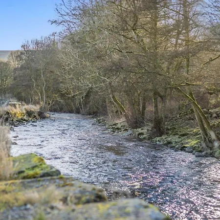 Cherry Tree - Langthwaite